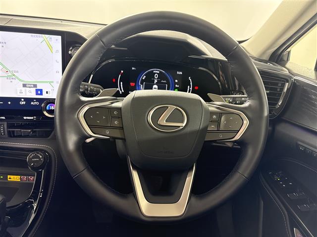 Lexus NX 12