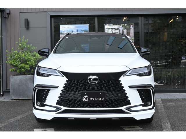 Lexus RX 12
