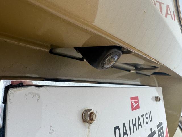 Daihatsu Taft 6