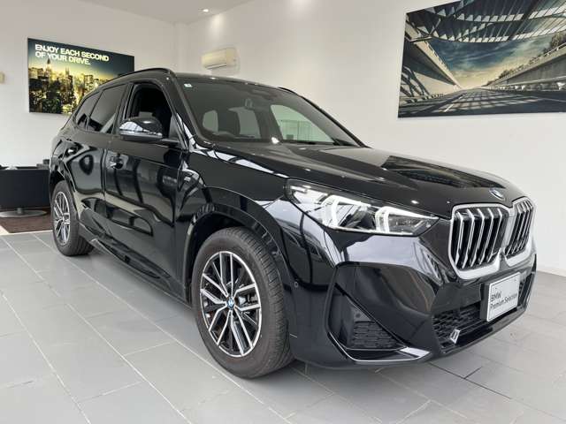 BMW X1 7