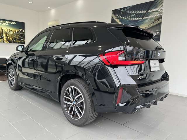 BMW X1 10