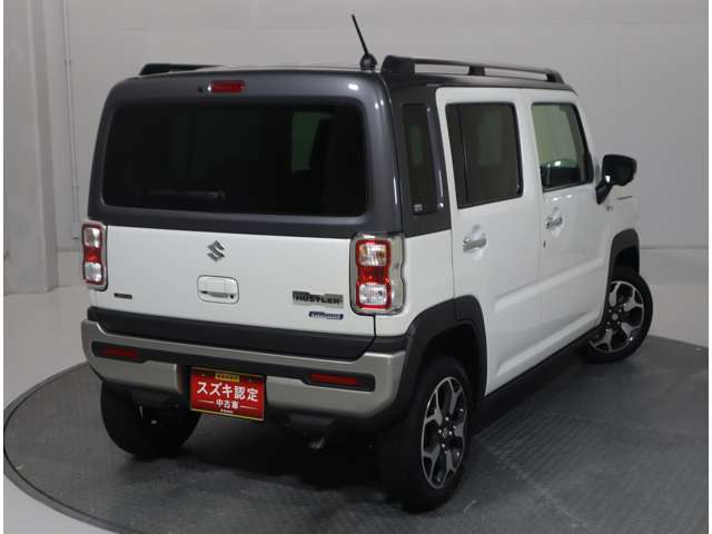 Suzuki Hustler 3