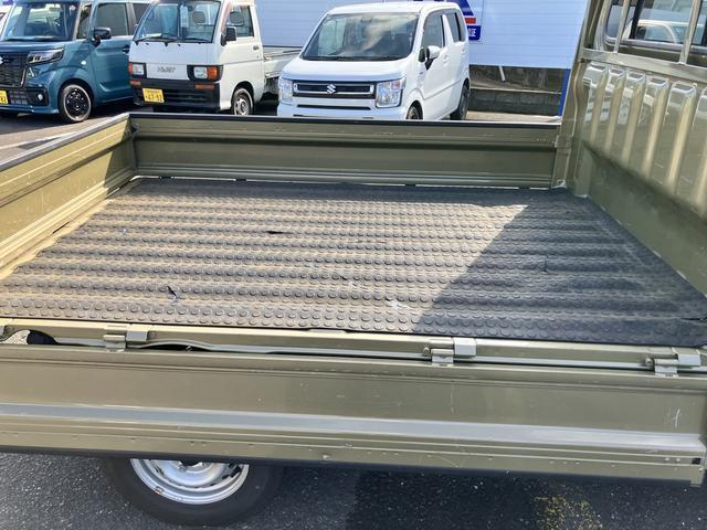 Toyota Pixis Truck 12