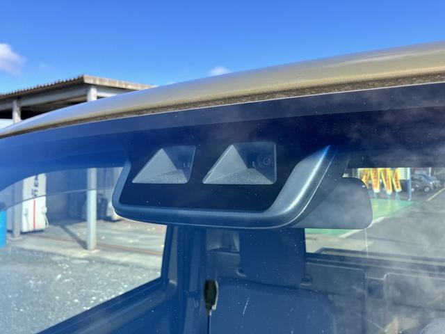 Toyota Pixis Truck 2