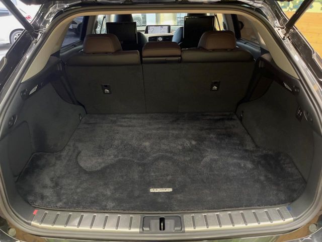 Lexus RX 10