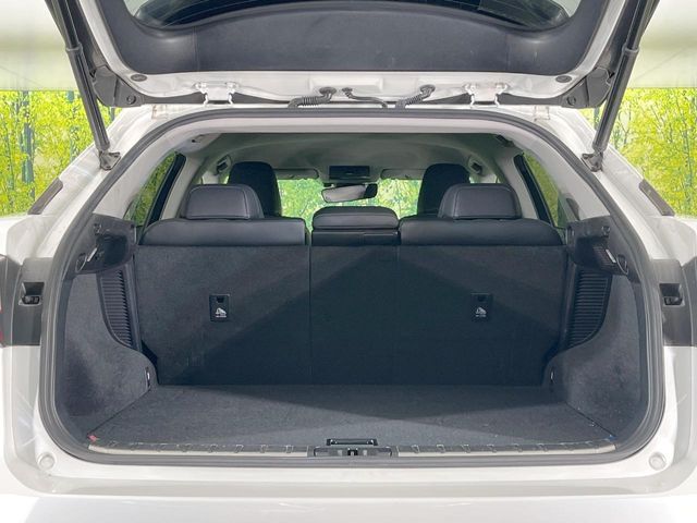 Lexus RX 10