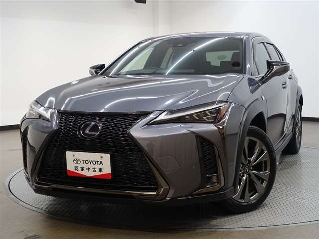 Lexus UX 6