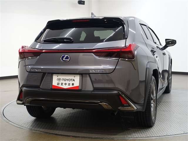 Lexus UX 8