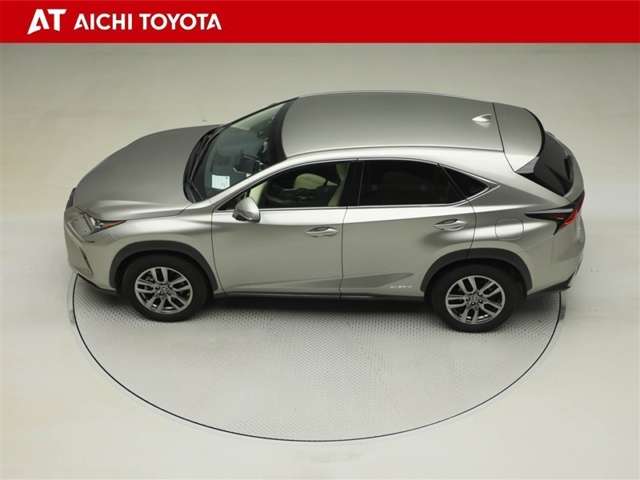 Lexus NX 11