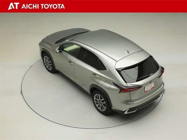Lexus NX 12