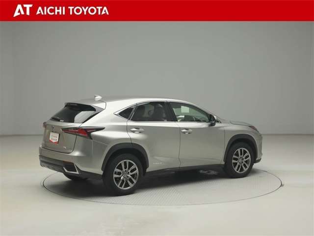 Lexus NX 6