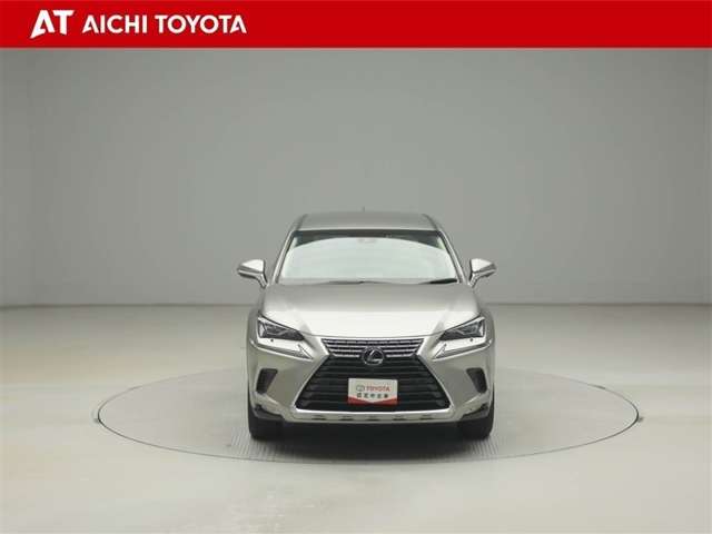 Lexus NX 9