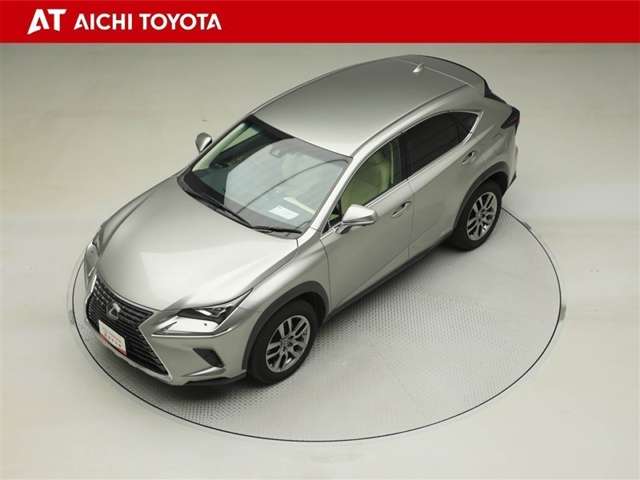 Lexus NX 10