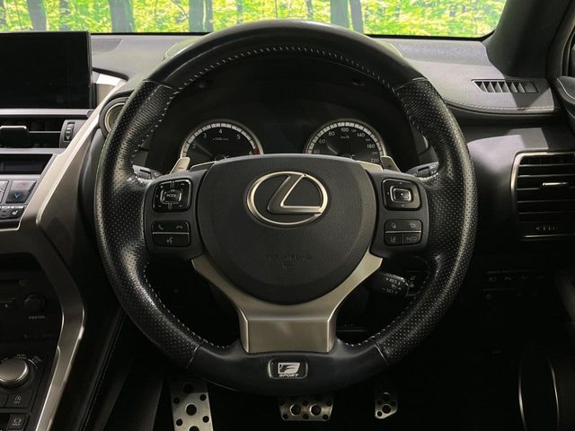 Lexus NX 11