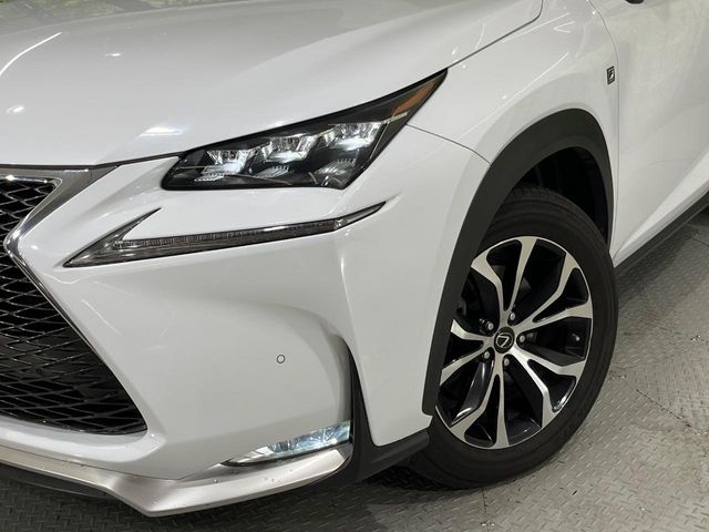 Lexus NX 12