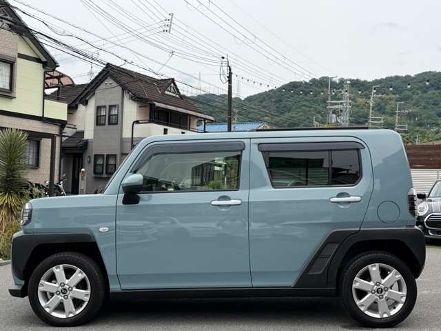 Daihatsu Taft 11