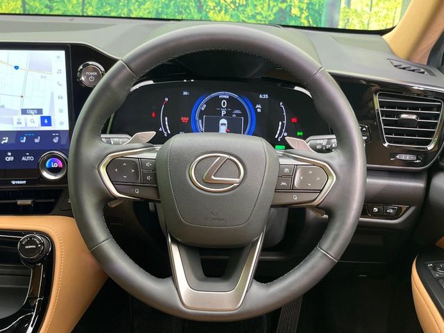 Lexus NX 11