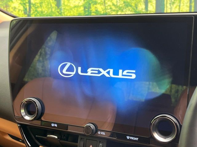 Lexus NX 4