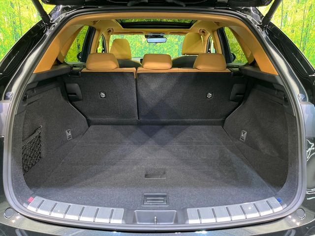 Lexus NX 10