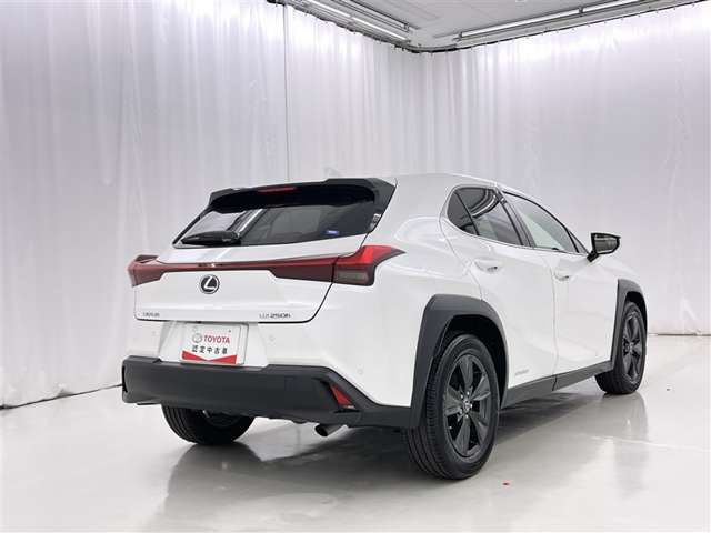 Lexus UX 7