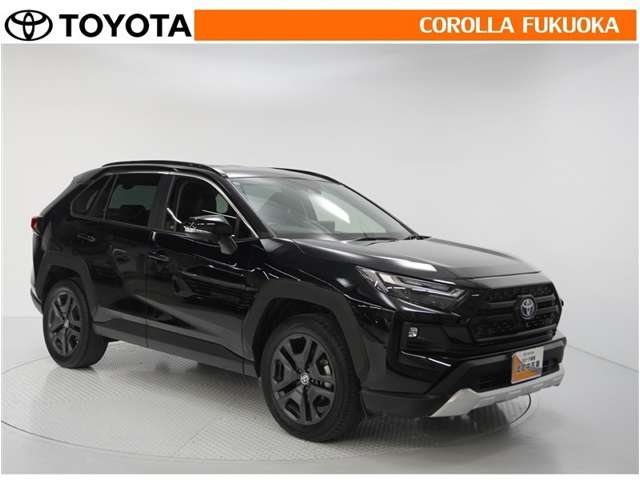 Toyota RAV4 10