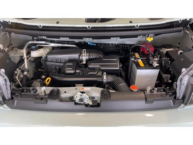 Daihatsu Taft 11