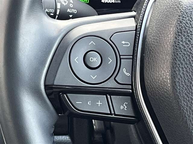 Toyota Harrier 10