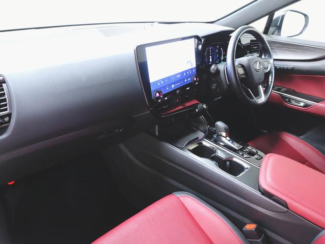Lexus NX 12