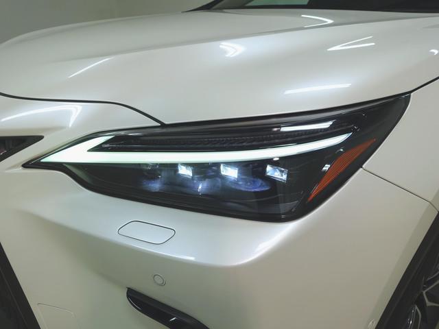 Lexus NX 4