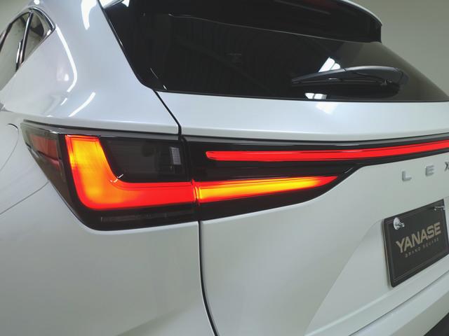 Lexus NX 6