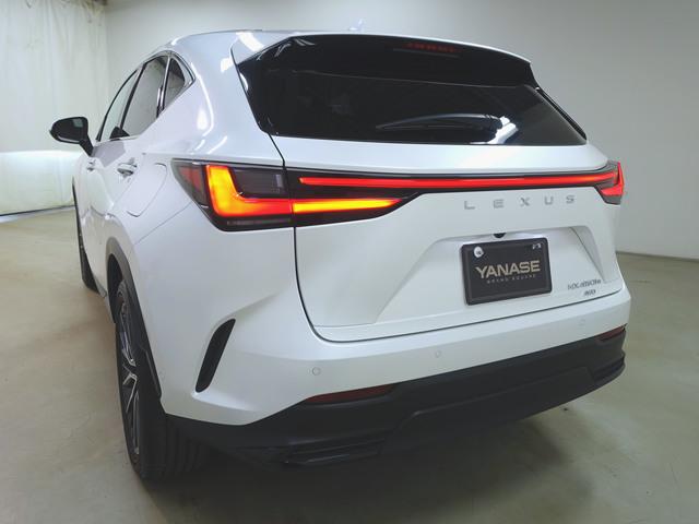 Lexus NX 7