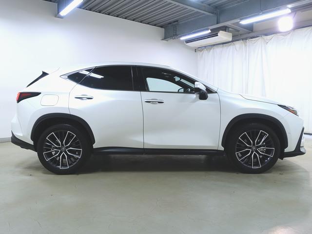 Lexus NX 9