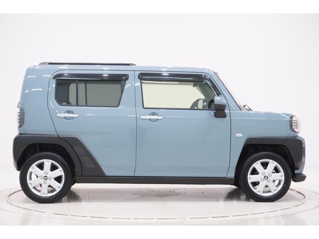 Daihatsu Taft 6