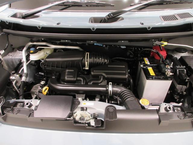 Daihatsu Taft 10