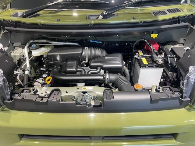 Daihatsu Taft 10