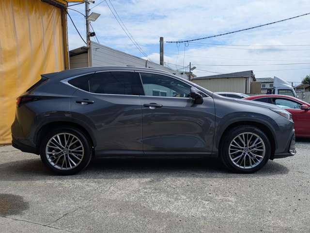 Lexus NX 11