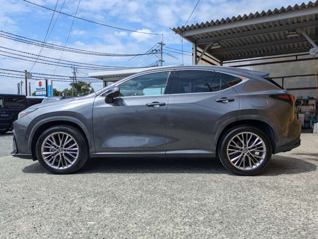 Lexus NX 12