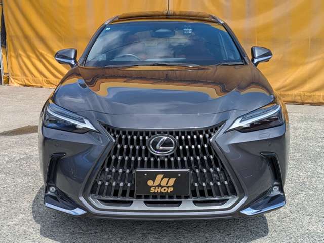 Lexus NX 6