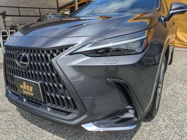 Lexus NX 10