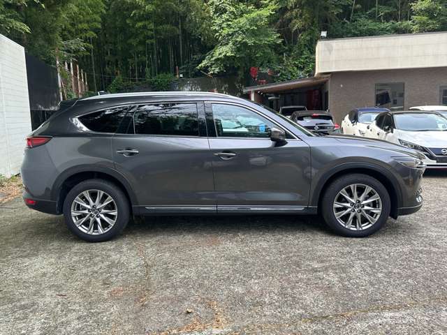 Mazda CX-8 6