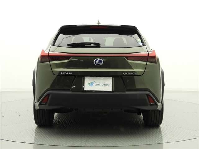 Lexus UX 9