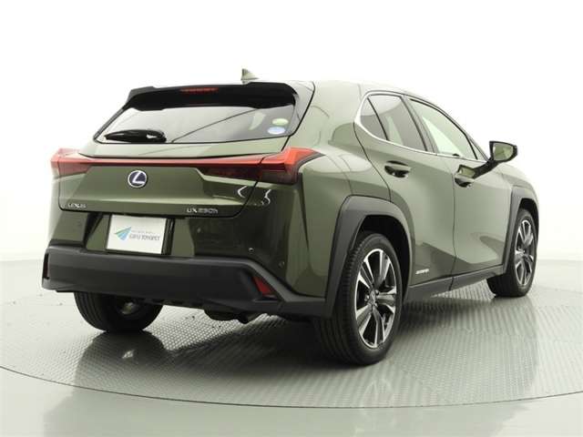 Lexus UX 10