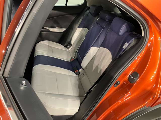 Lexus UX 10