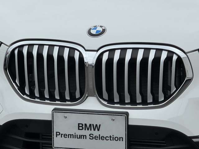 BMW X1 10