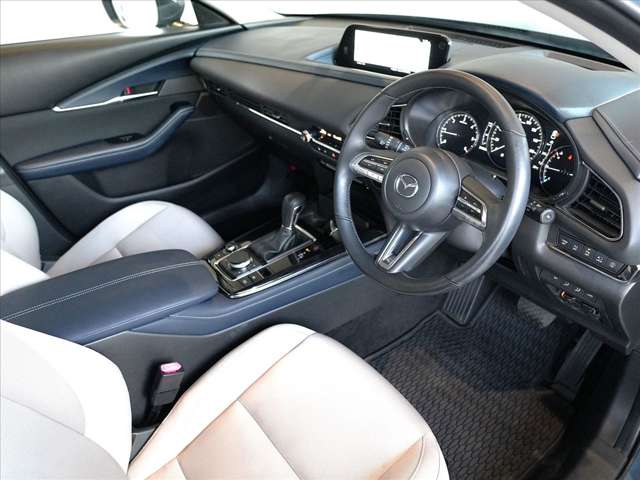 Mazda CX-30 12