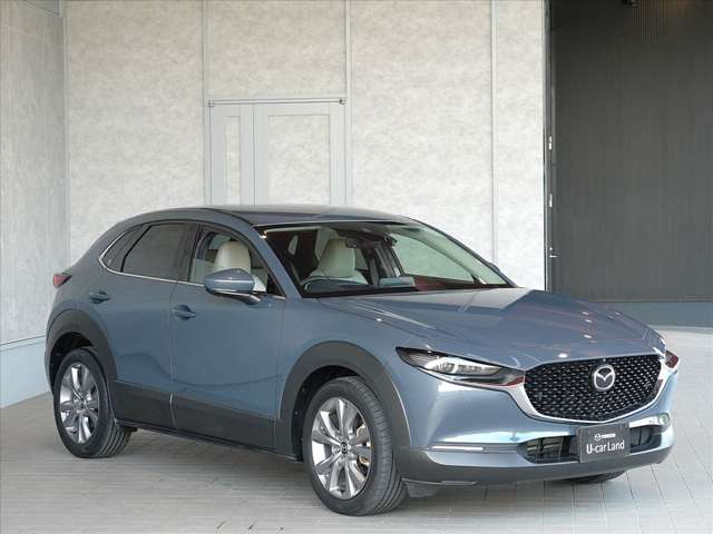 Mazda CX-30 3