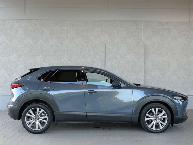 Mazda CX-30 6