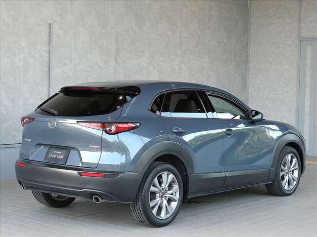 Mazda CX-30 7