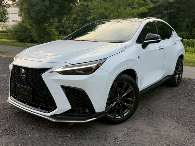 Lexus NX 9