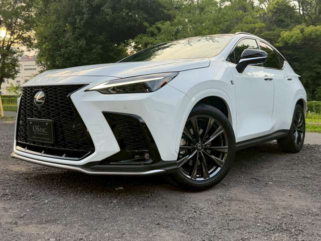 Lexus NX 10